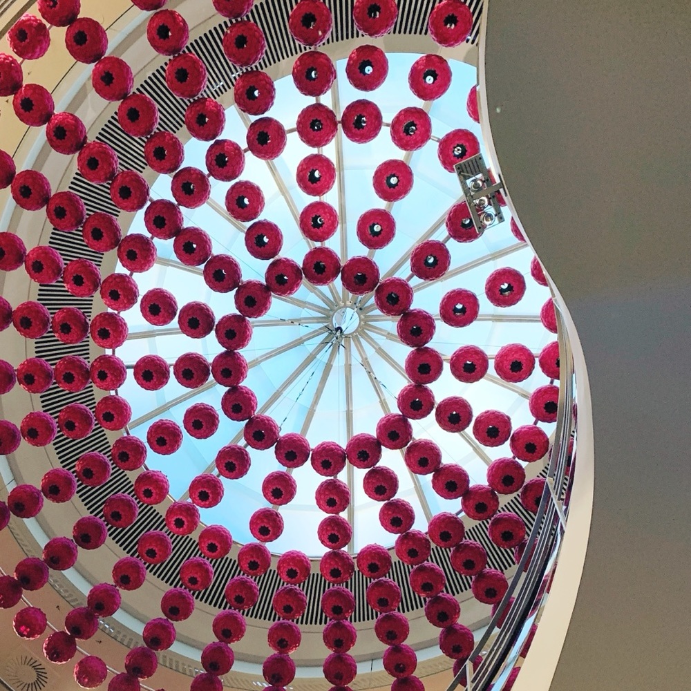 Meet your Posher, Delphine